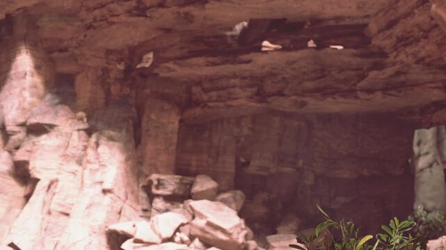 A cave sits in a rocky area with large stone formations. Green plants grow near the entrance. Sunlight shines through a small opening above. This scene shows natures form over time.
