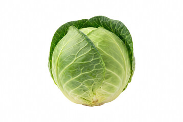 Fototapeta premium Fresh Whole Green Cabbage with Textured Leaves