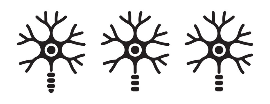 Three detailed black neuron icons with central nuclei and branching dendrites, symbolizing neuroscience and complex connections.