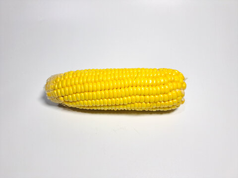 Fresh corn cob lies centered on plain white background