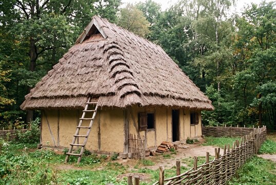 Traditional wattle and daub house with thatched roof in a forest setting