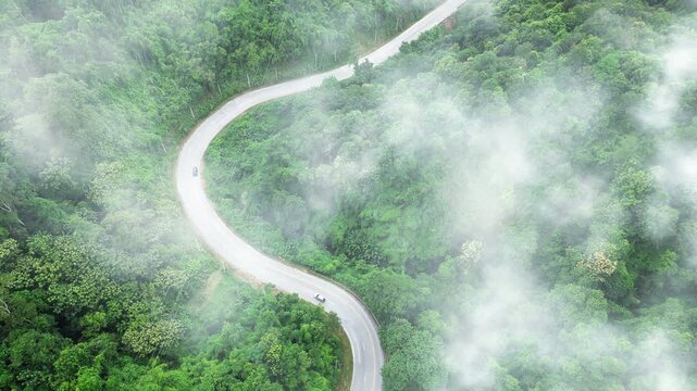 Aerial view of the road and forest. Scenic aerial forest road representing climate resilience, sustainable transportation, Renewable Energy Transition, Environmental Management, Green Economy,