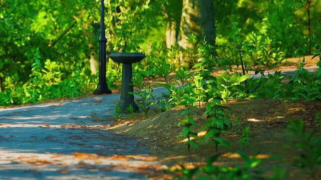A path running through a park is lined with various plants and a black birdbath. The sun shines down, illuminating the greenery around the walkway.