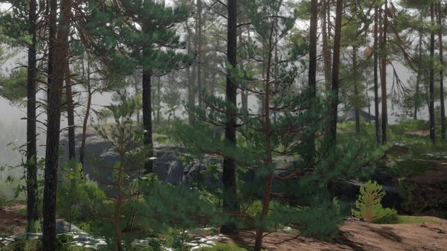 A forest with tall trees and green plants under soft morning light. The environment appears quiet with some rocks and foliage scattered throughout the area.