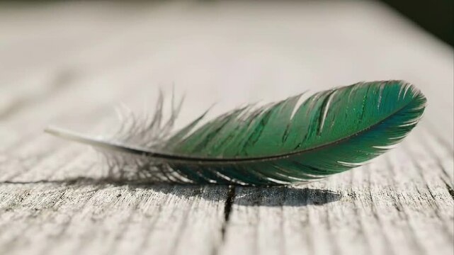 Emerald Green Feather Floating and Landing Gently on Rustic Wooden Surface Macro