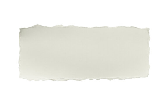 Isolated piece of rectangular offwhite textured paper with rough torn edges transparent background