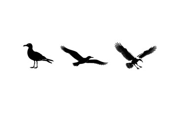 Fototapeta premium Three hummingbird silhouettes showcase dynamic flight against a white background