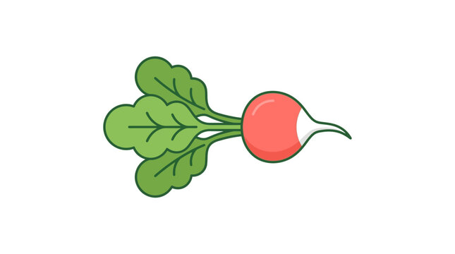 Radish with bright red skin and green leafy tops appears as a clean flat icon for organic vegetable markets.