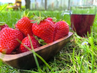 ripe fresh strawberries in a plate close-up on green grass background © nicolas