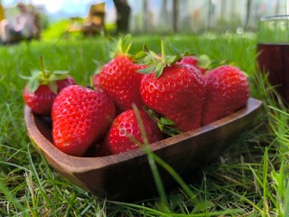 ripe fresh strawberries in a plate close-up on green grass background © nicolas