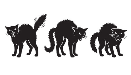 Obraz premium black color silhouette set of three Angry cat vector illustration, solid white background