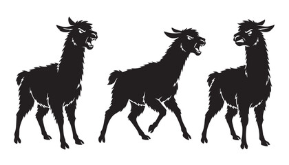black color silhouette set of three llama vector illustration, solid white background © Potato