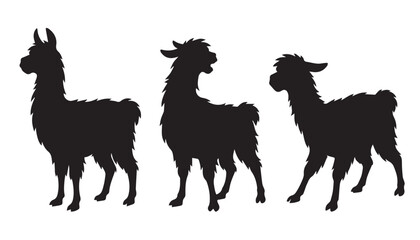 Naklejka premium black color silhouette set of three llama vector illustration, solid white background