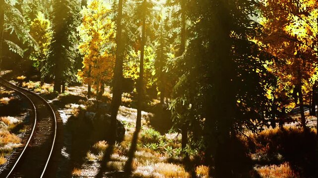 Train tracks wind through a dense forest during autumn. Sunlight filters through the trees, illuminating vibrant foliage and grass along the path.