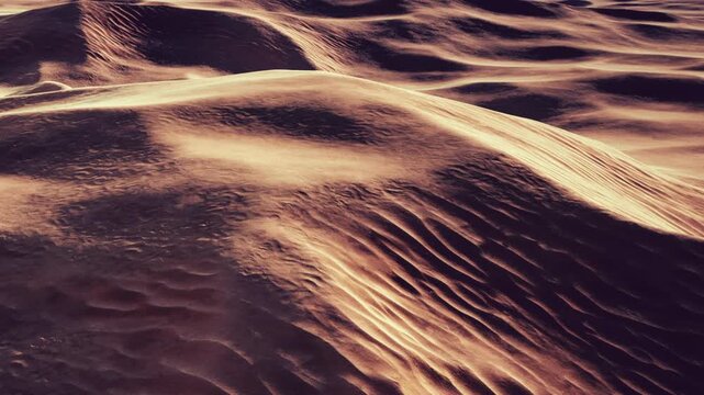 Sand dunes rise and fall in a desert setting as the sun sets. The light casts shadows and gives depth to the textures of the sand.