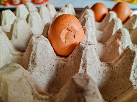close-up shot of a brown chicken egg with a cracked shell resting in a molded paper egg carton.