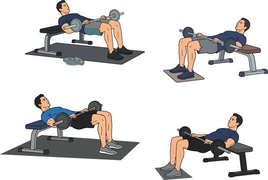 Athletic man performing barbell hip thrust exercise on workout bench for glute muscle training fitness vector illustration