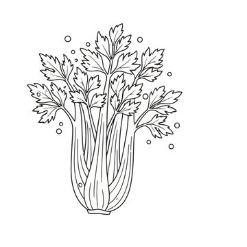 Celery stalk with leaves and circles