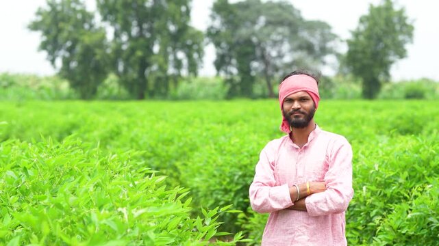happy indian farmer standing at green pigeon pea agriculture field 