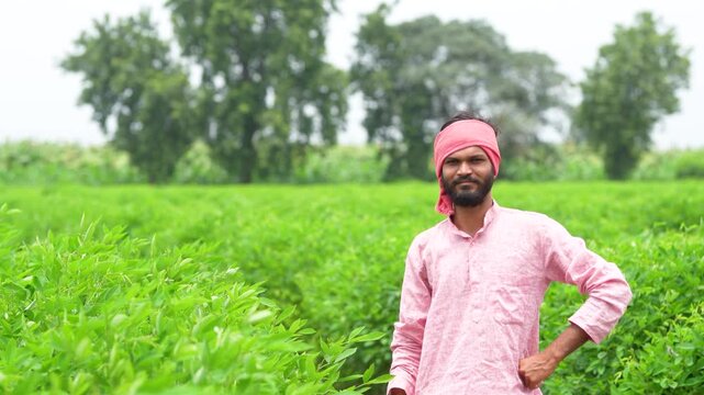 happy indian farmer standing at green pigeon pea agriculture field 