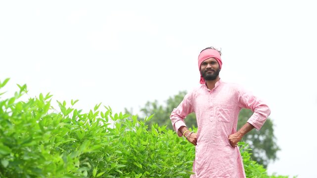 happy indian farmer standing at green pigeon pea agriculture field 