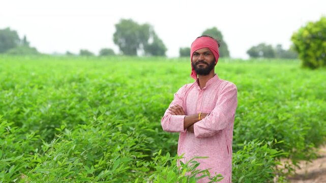 happy indian farmer standing at green pigeon pea agriculture field 