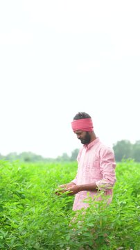 happy indian farmer standing at green pigeon pea agriculture field 