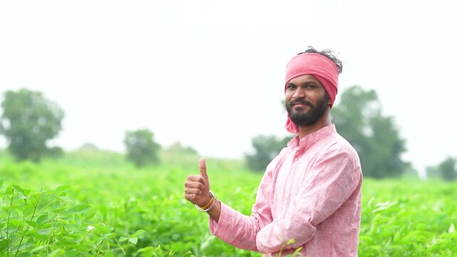 happy indian farmer standing and showing thumps up at green pigeon pea agriculture field