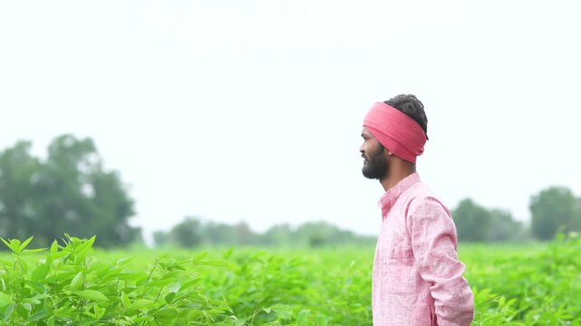 happy indian farmer standing at green pigeon pea agriculture field 
