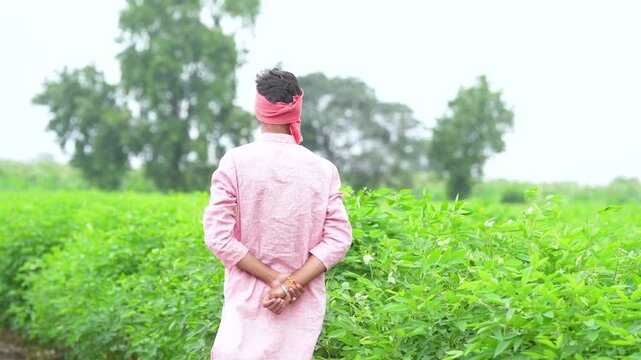 young indian farmer walking at pigeon pea agriculture field