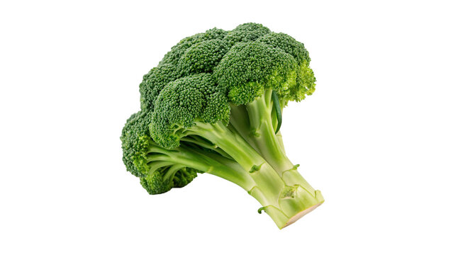 Fresh whole green broccoli cabbage organic vegetable isolated on a white background