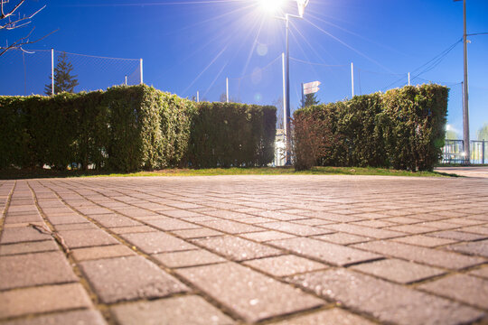 Brightly lit sports court at night with illuminated pavement and trimmed hedges.