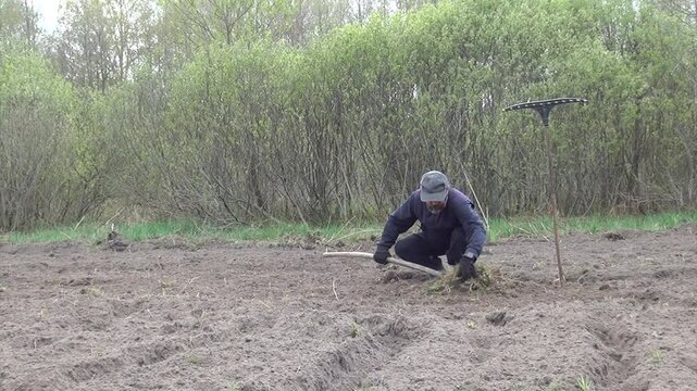 Man working with a pitchfork on a plowed and cultivated field. Carrying weeds away from the field. Soil preparation for planting a vegetable garden.