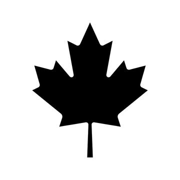 Maple leaf vector icon, autumn and Canada symbol