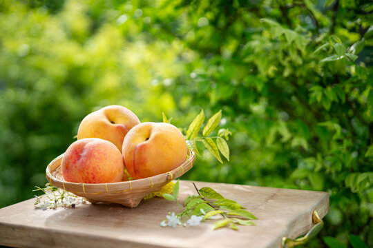 Orange Peach on the wooden table over blurred greenery background, Fresh peach on wooden basket in wooden Background.