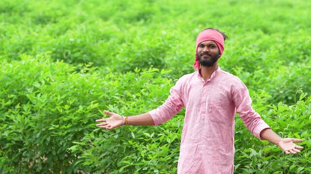 Young indian farmer standing at split pigeon pea agriculture field 