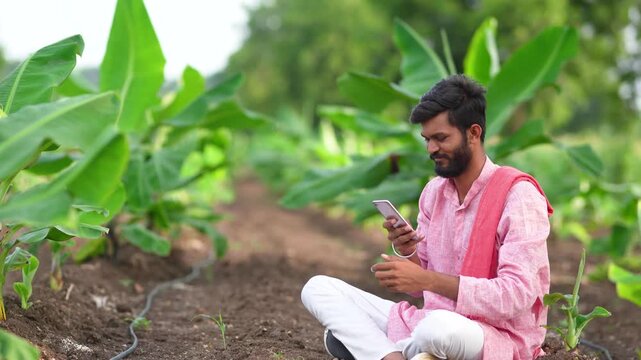 Young indian farmer sitting at banana agriculture field and using mobile phone 