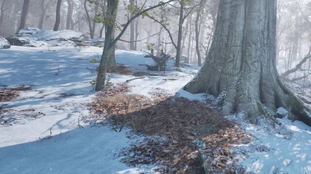 In a winter forest, snow covers the ground and branches of trees. Fallen leaves stay visible among the snow. Trees stand tall in the background under a cloudy sky.