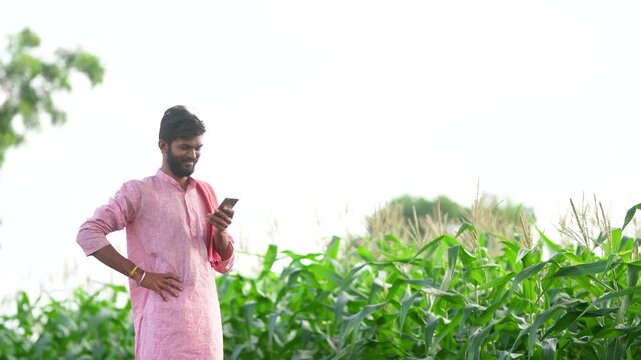 indian farmer using smartphone at corn agriculture field