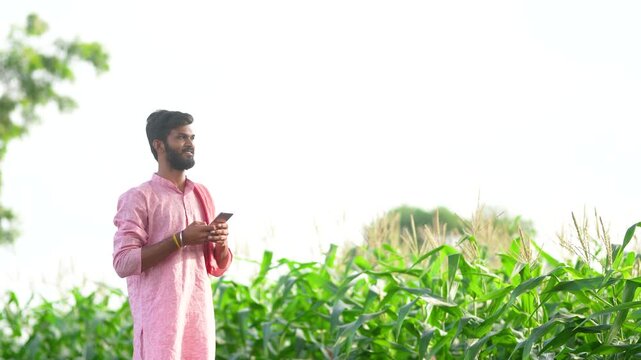 indian farmer using smartphone at corn agriculture field