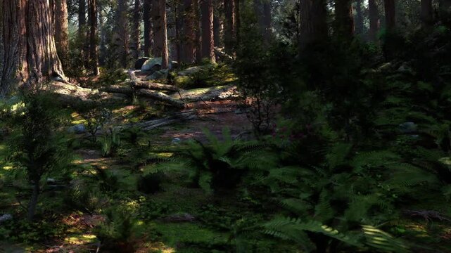A forest area shows tall trees and thick bushes in sunlight. Fallen logs and green ferns cover the ground. The light shines through the leaves, creating shadows on the earth.