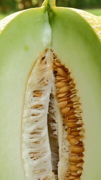 Close Up of Sliced Yellow Melon