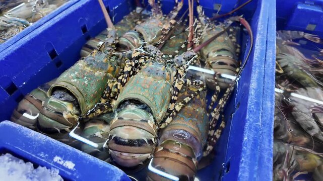fish market with lobsters and crabs, delicacy, seafood