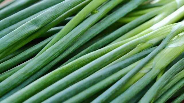 Fresh Green Onions in a Woven Basket	