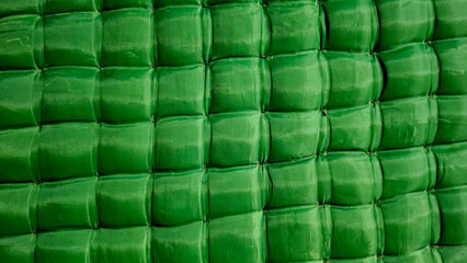 Close-up texture of a tufted green air mattress surface with square padding pattern. Ideal background for outdoor camping, comfortable sleep, and textile concepts. © Bendy Moe