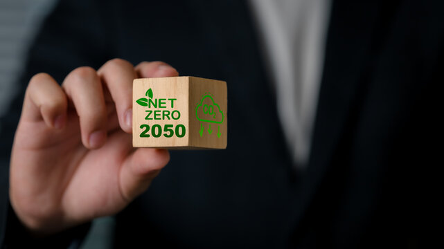 A professional person holding a wooden block with a net zero 2050 graphic, symbolizing climate action, sustainability, and commitment to environmental goals.