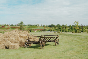 Old wooden cart near haystack in grassy field with trees and flowers © reddish