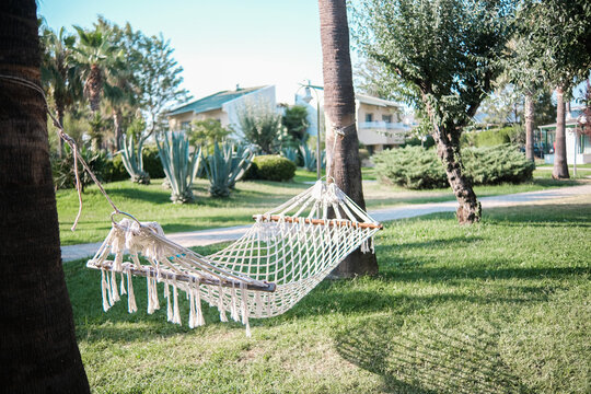 Garden hammock tied between palm trees in tropical resort