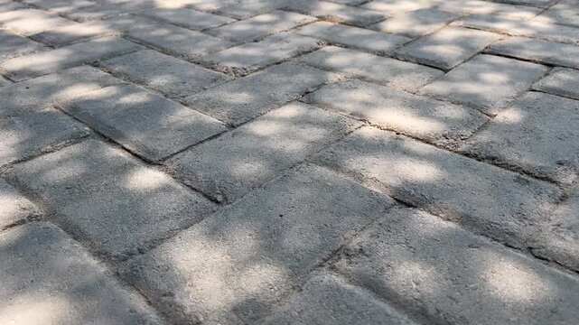 Concrete stone walkway background with dappled sunlight and organic leaf shadow b roll