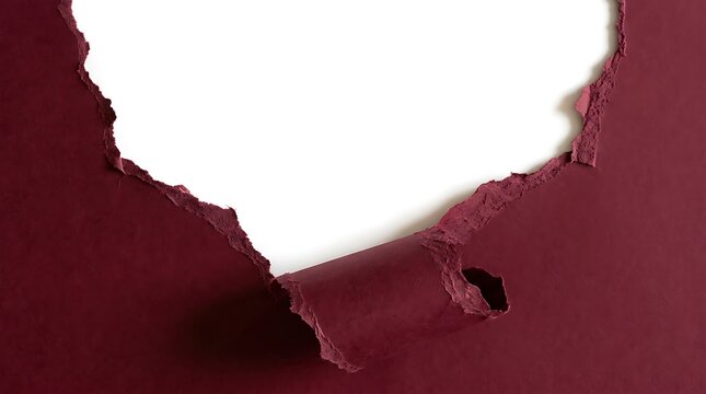 Abstract background featuring torn dark burgundy paper texture revealing bright white blank space underneath creating dynamic organic curves and depth for creative design projects and copy space needs